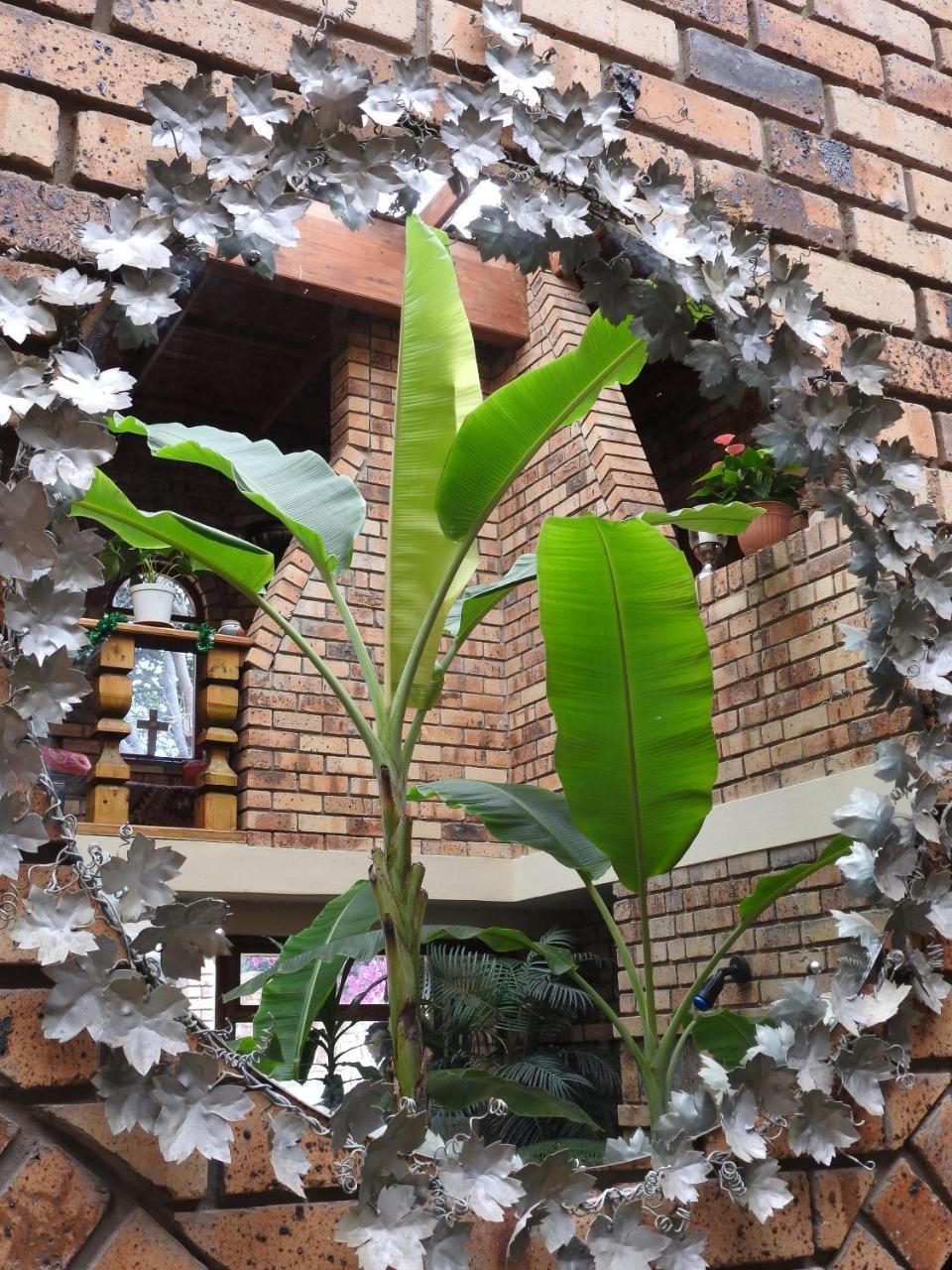 Mossel Bay Guest House المظهر الخارجي الصورة